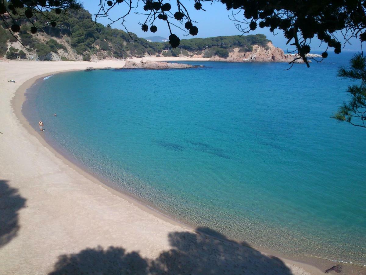 Апартаменты Vidabrava Sagaro Garden, Jardin Privado, Piscina, 150 M Playa С'Агаро Экстерьер фото
