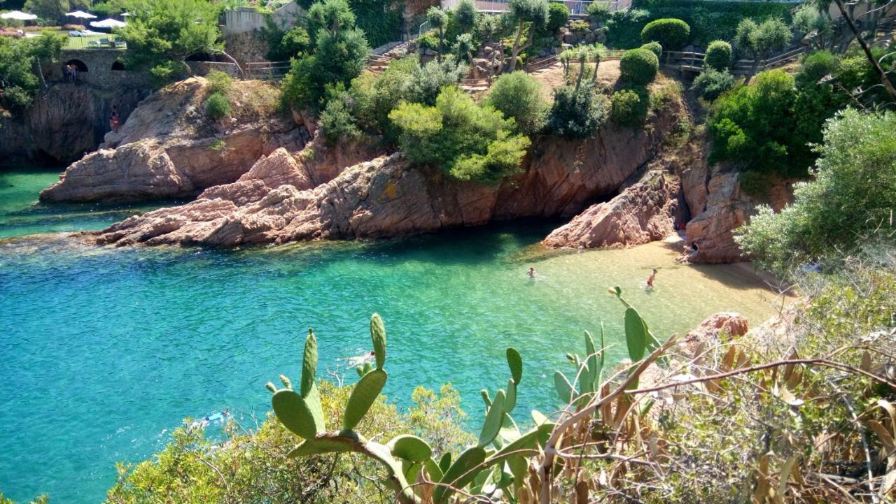 Апартаменты Vidabrava Sagaro Garden, Jardin Privado, Piscina, 150 M Playa С'Агаро Экстерьер фото